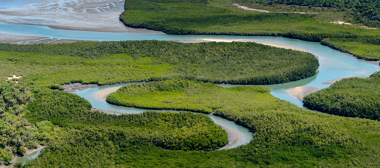 A stock photo of the bijagos archipelago in Guinea Bissau.